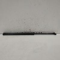 hatch strut