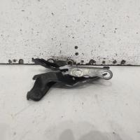 bonnet hinge/strut