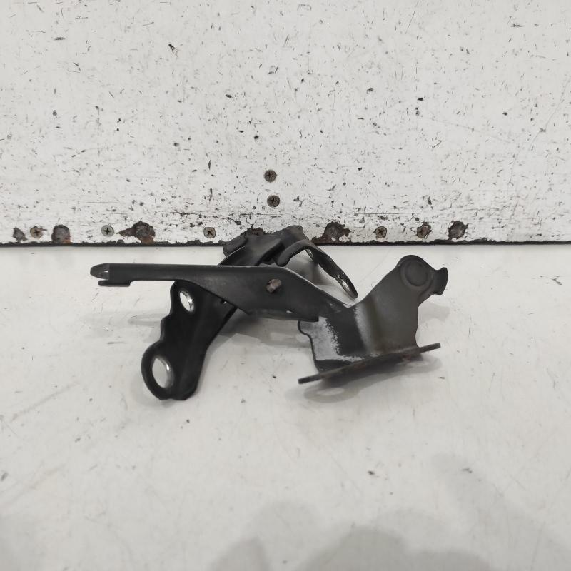 bonnet hinge/strut