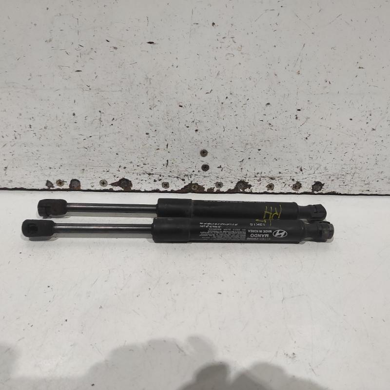 bonnet hinge/strut