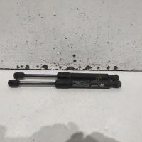 bonnet hinge/strut