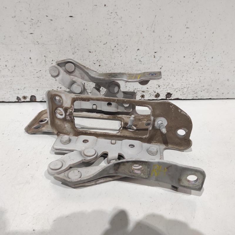 bonnet hinge/strut