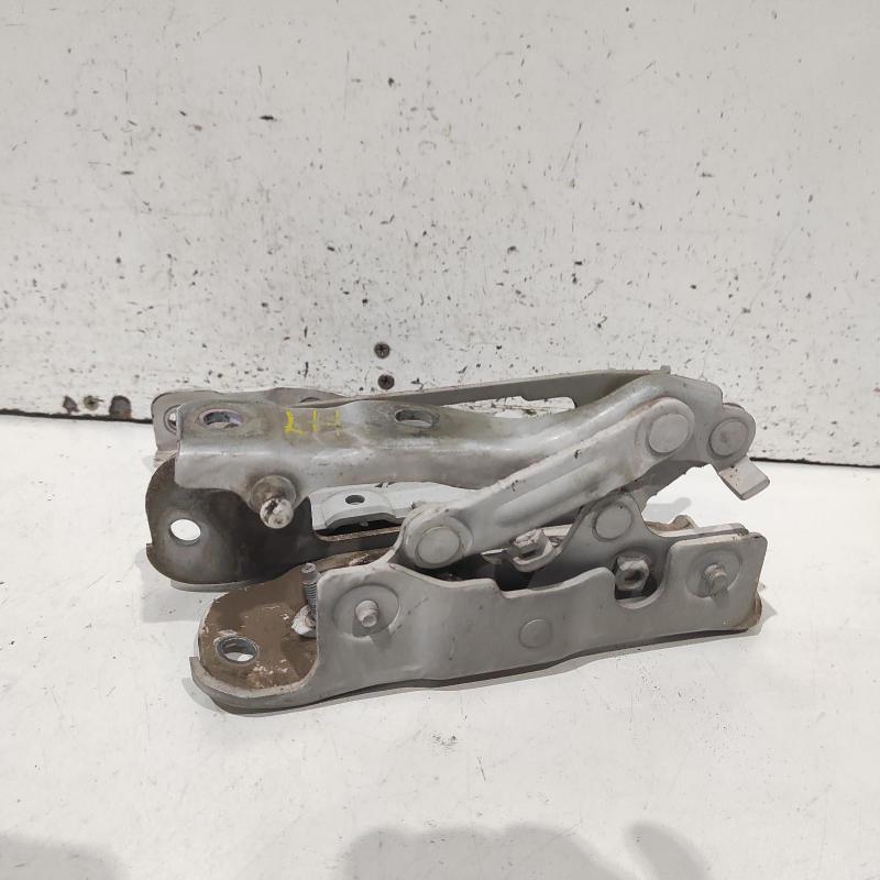bonnet hinge/strut