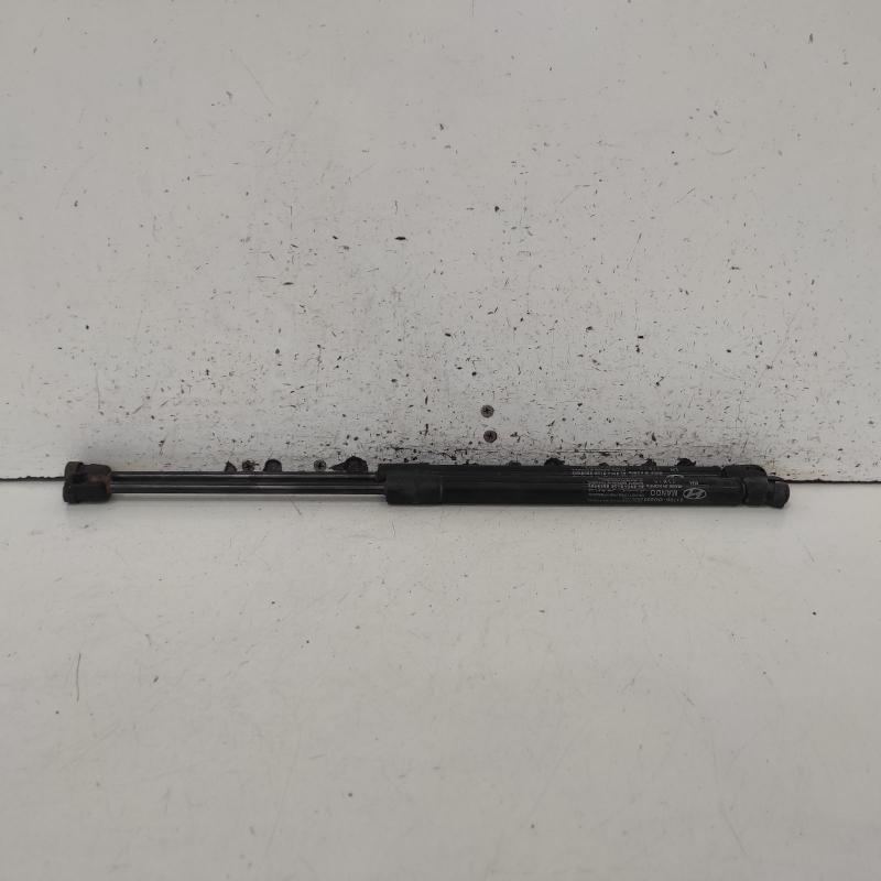 hatch strut