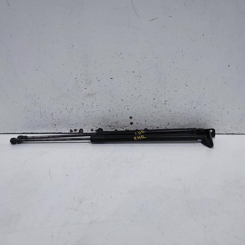 hatch strut