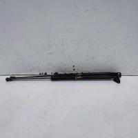 hatch strut