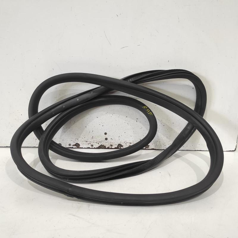 body seal ruber