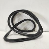 body seal ruber