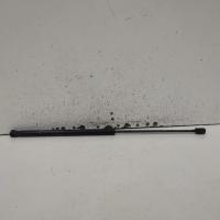bonnet hinge/strut