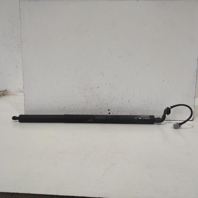 hatch strut