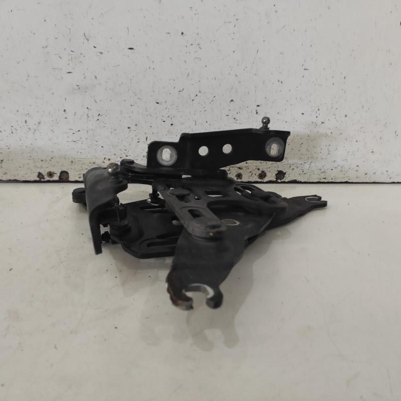 bonnet hinge/strut
