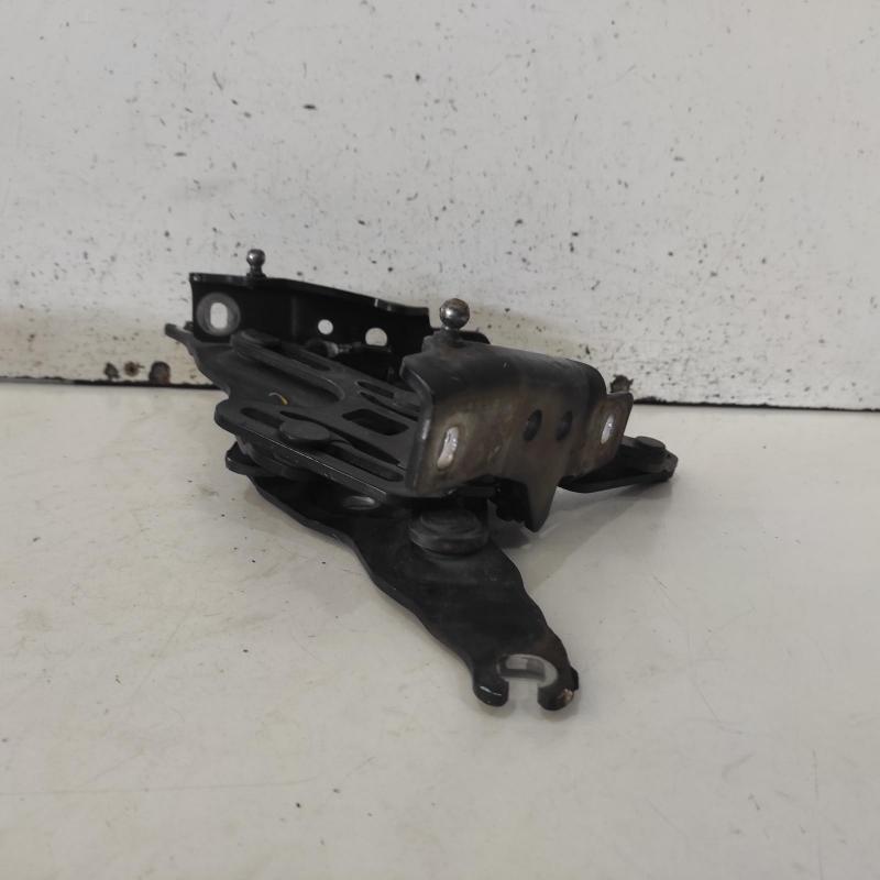 bonnet hinge/strut