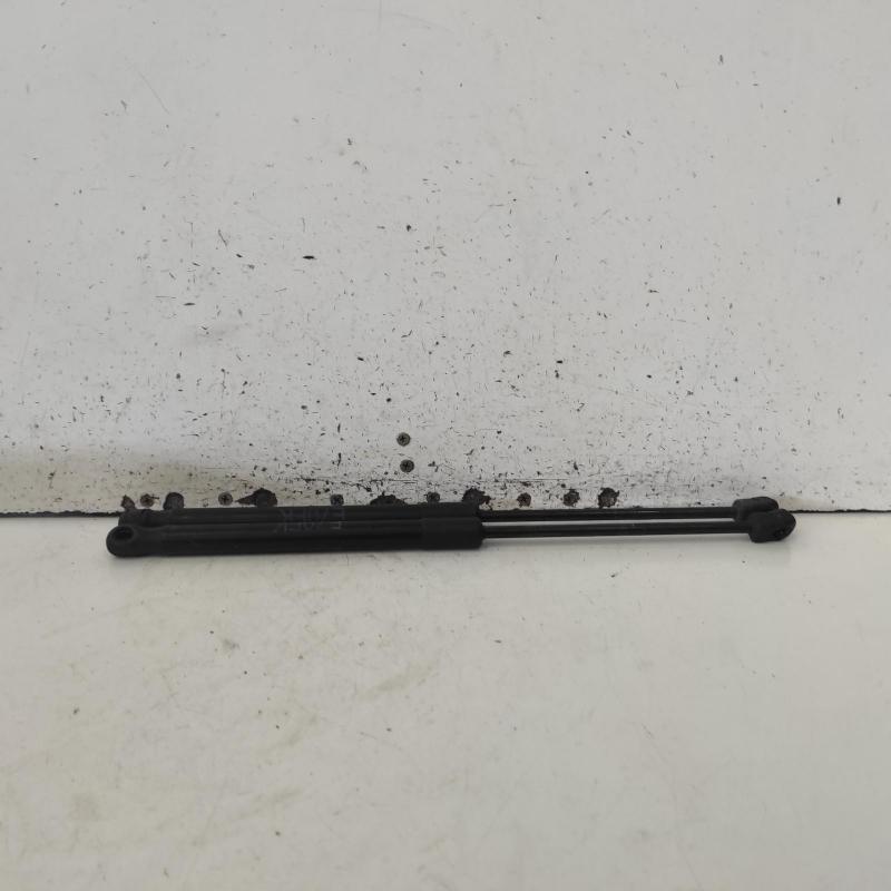 bonnet hinge/strut