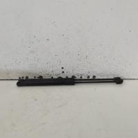 bonnet hinge/strut