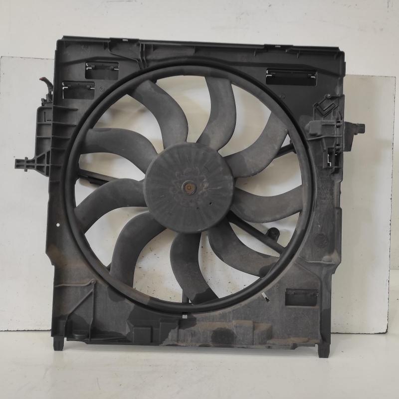 fan