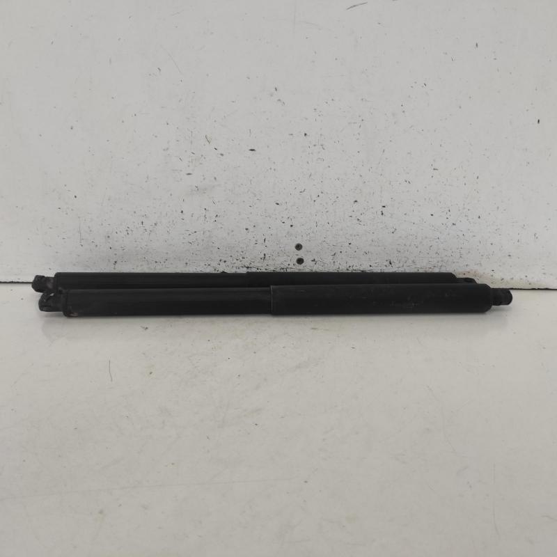 hatch strut