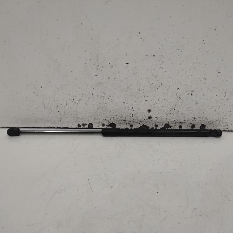 hatch strut