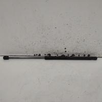 hatch strut