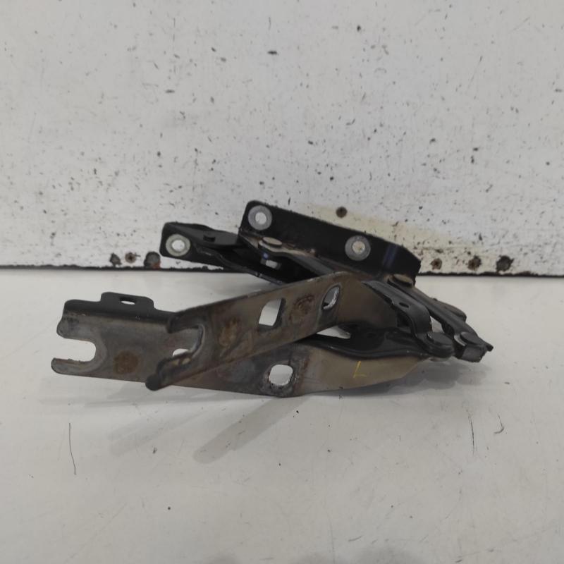 bonnet hinge/strut