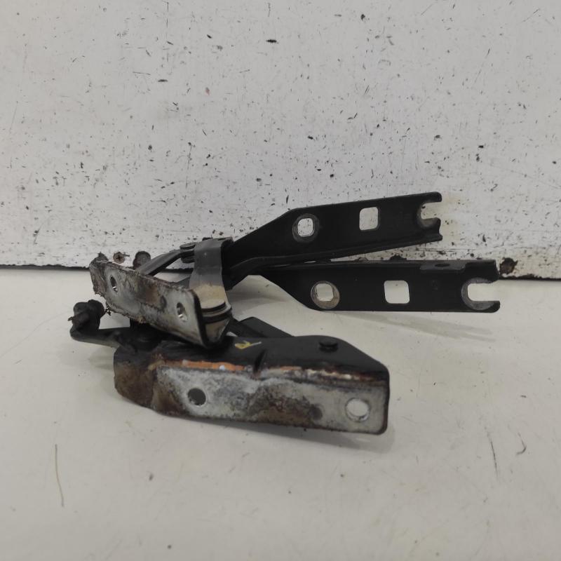 bonnet hinge/strut