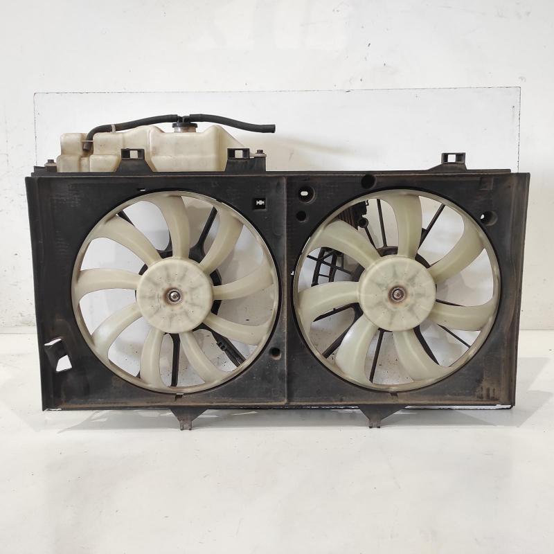 fan