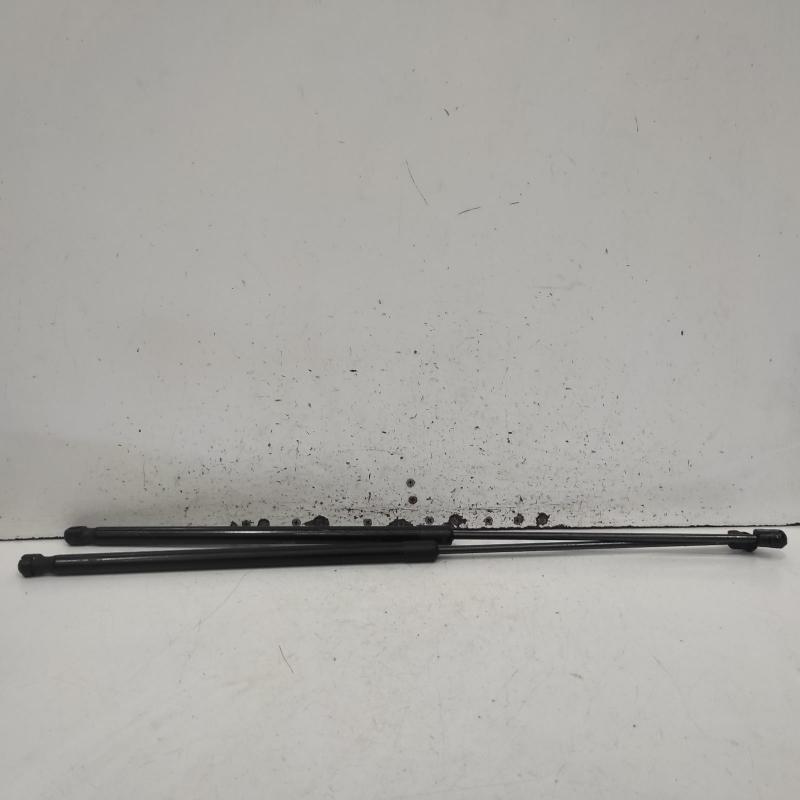 bonnet hinge/strut