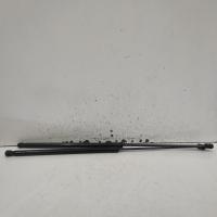 bonnet hinge/strut