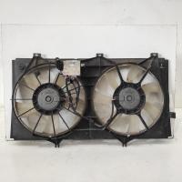 fan