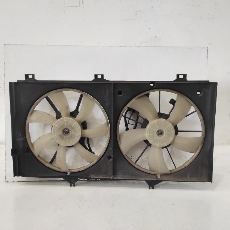 fan
