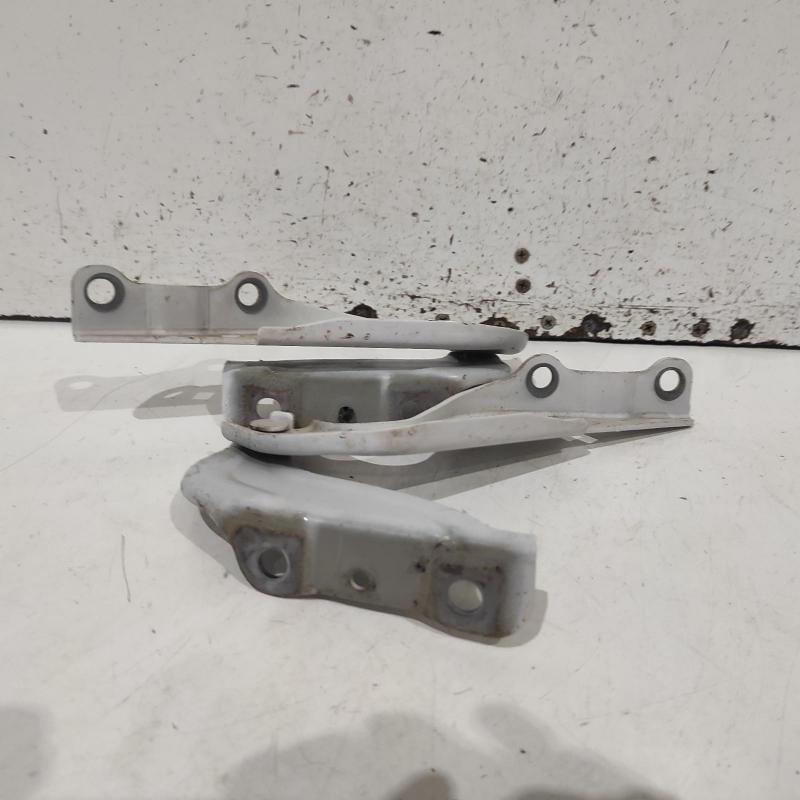 bonnet hinge/strut