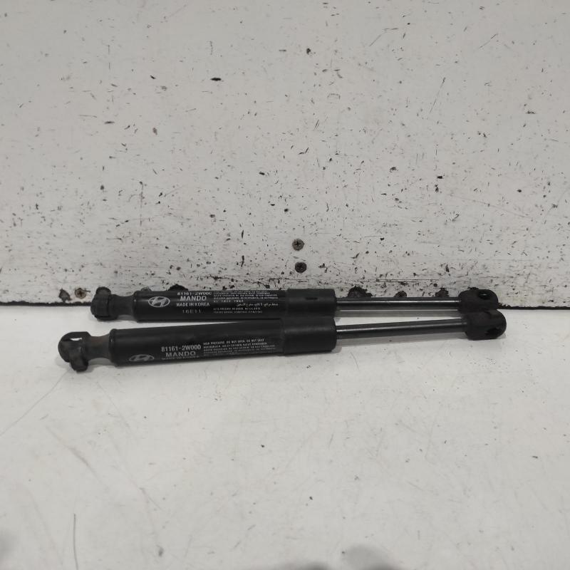 bonnet hinge/strut