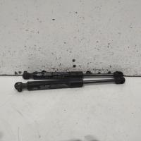 bonnet hinge/strut