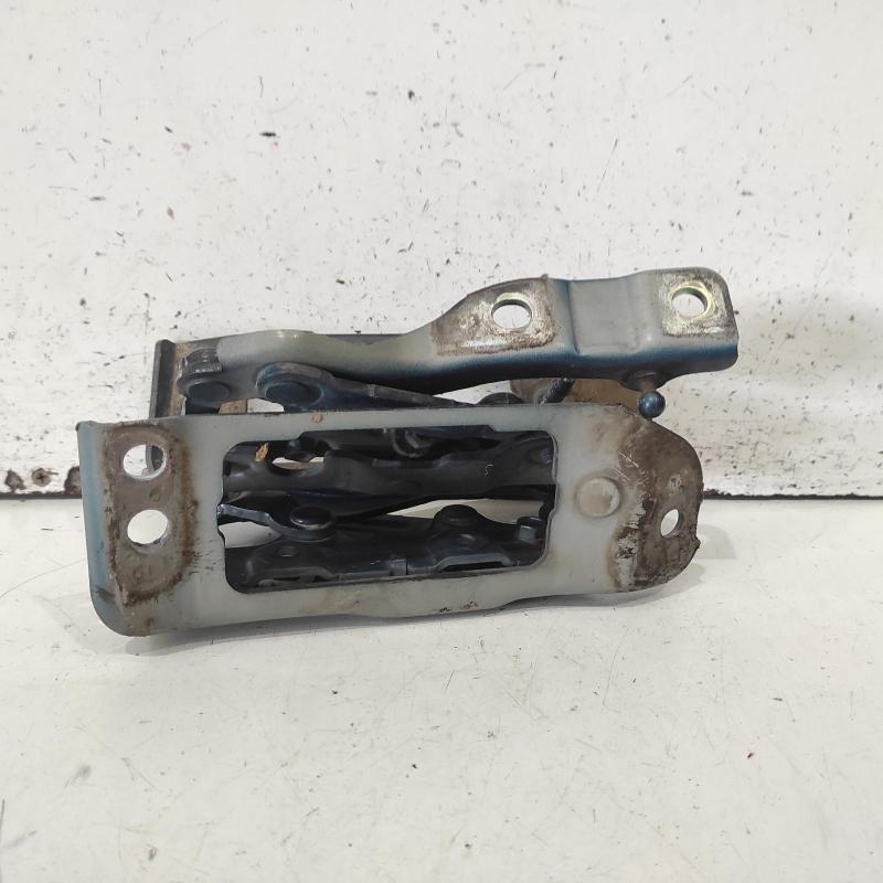 bonnet hinge/strut