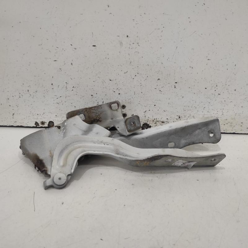 bonnet hinge/strut