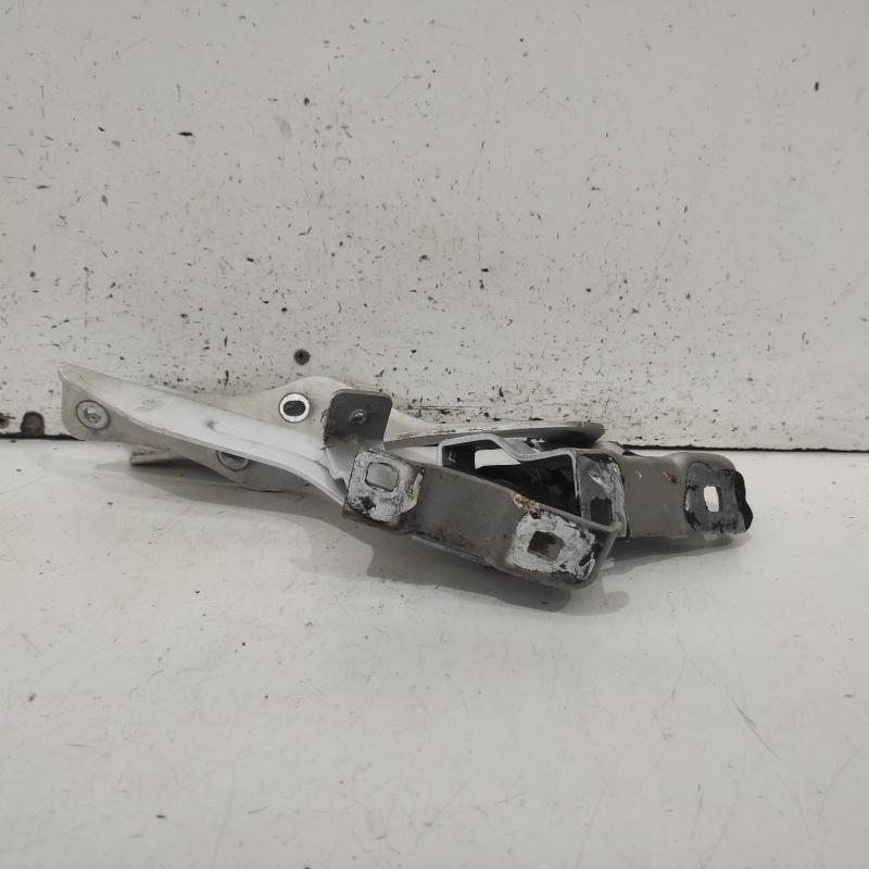 bonnet hinge/strut