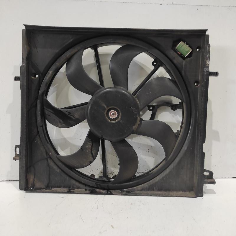 fan