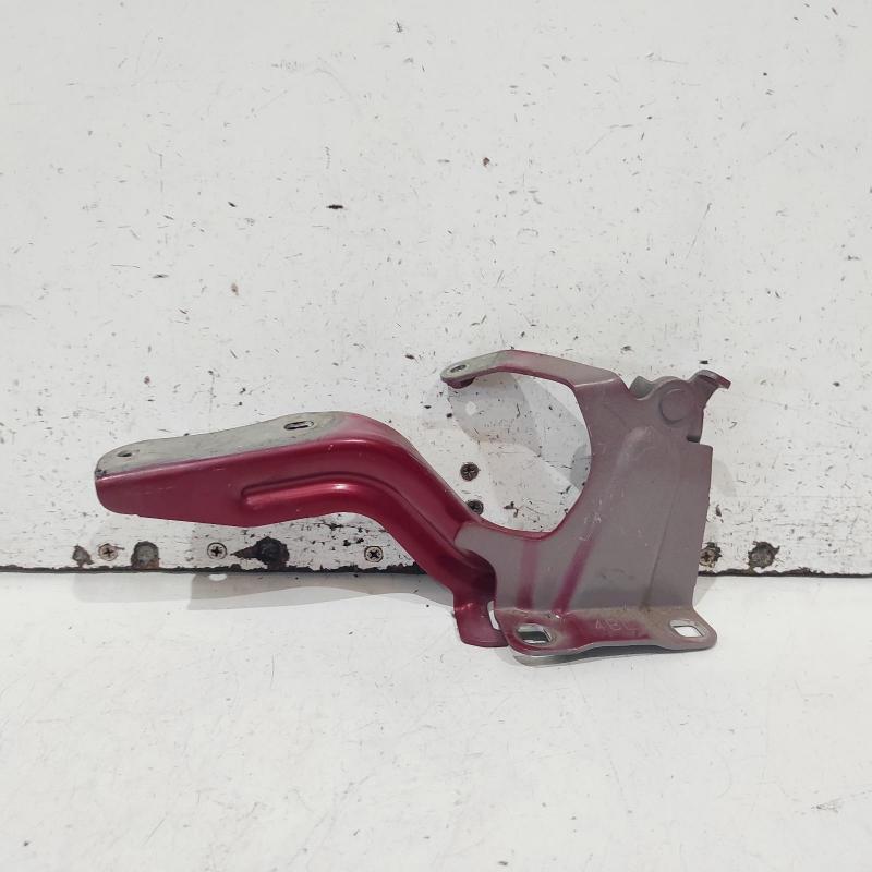 bonnet hinge/strut
