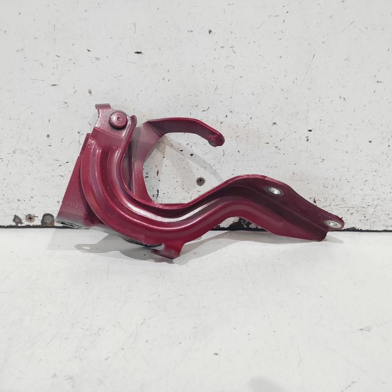 bonnet hinge/strut