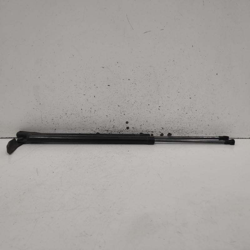 hatch strut