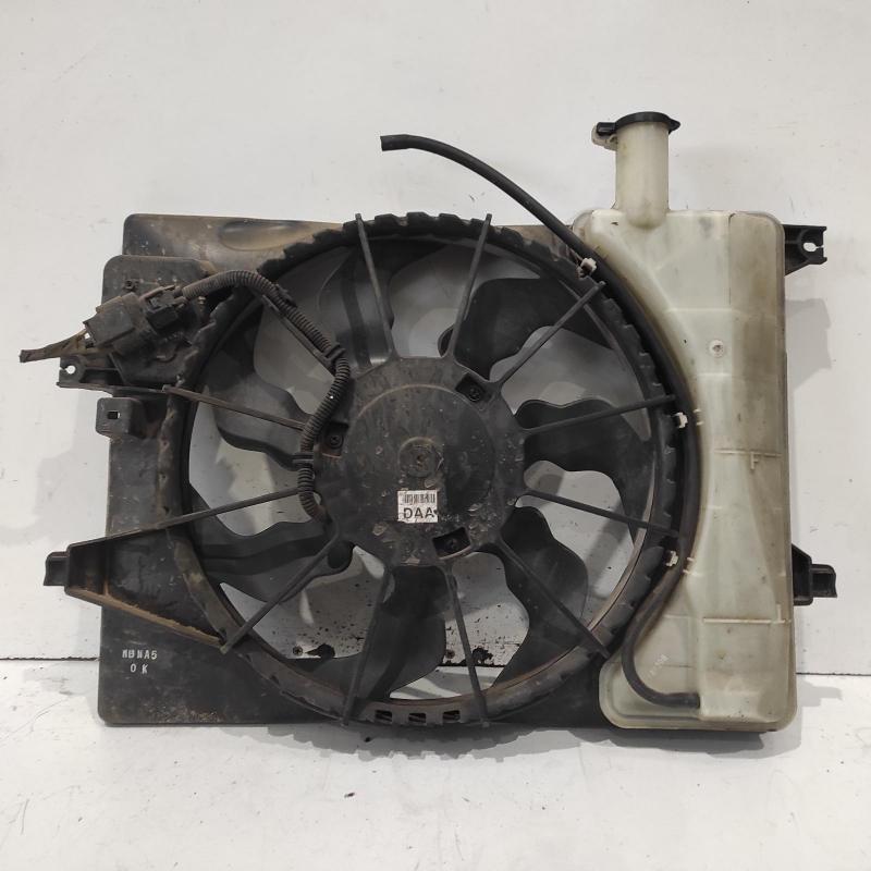 fan