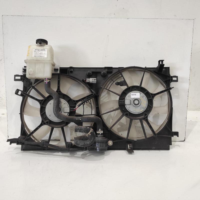fan