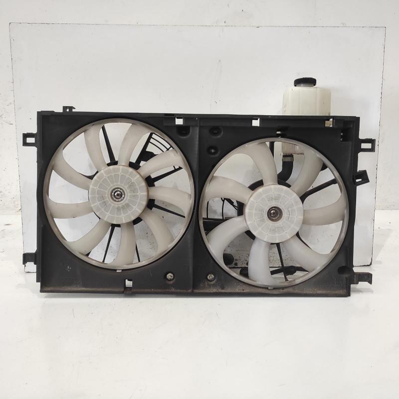 fan