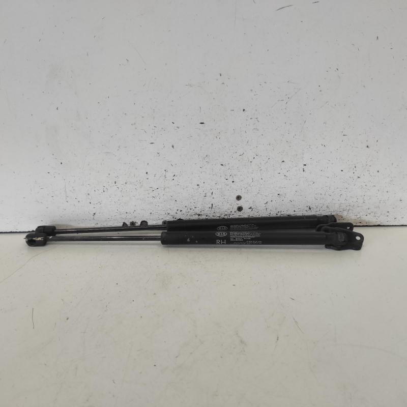 hatch strut