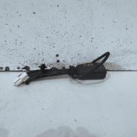 seat belt stalk