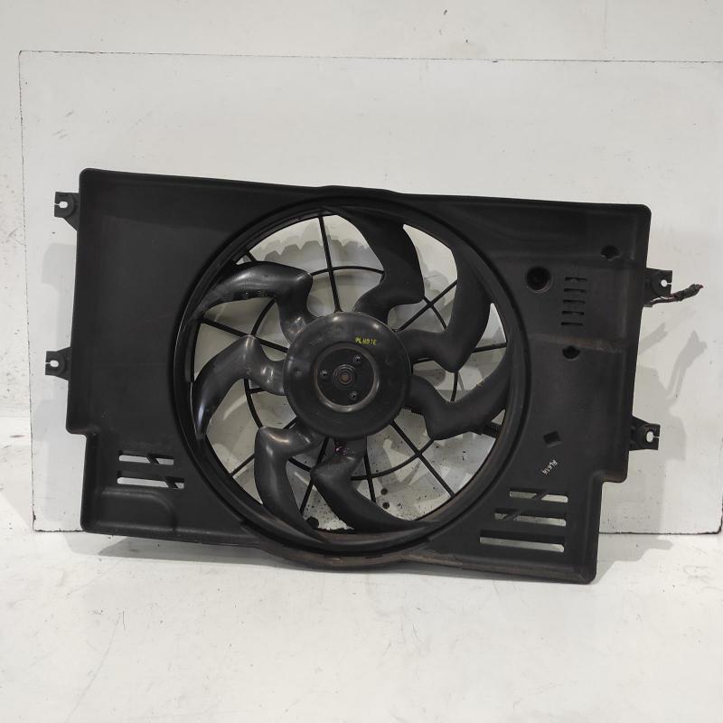 fan