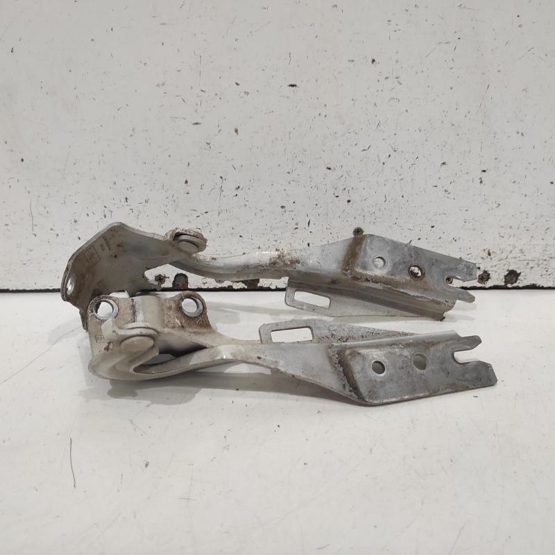 bonnet hinge/strut