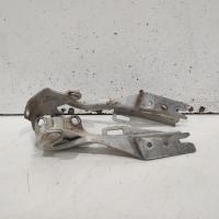bonnet hinge/strut