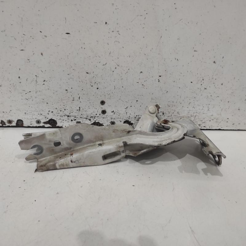 bonnet hinge/strut