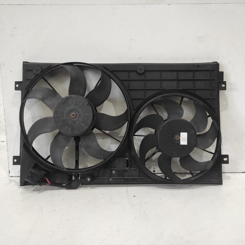 fan