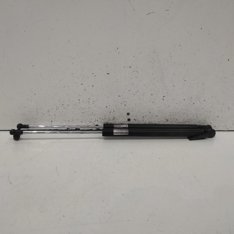 hatch strut
